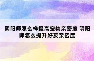 阴阳师怎么样提高宠物亲密度 阴阳师怎么提升好友亲密度